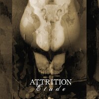 Which Hand? - Attrition