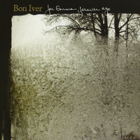 Skinny Love - Bon Iver