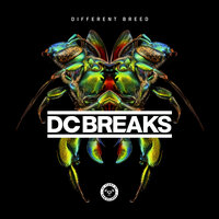 Everybody - Dc Breaks