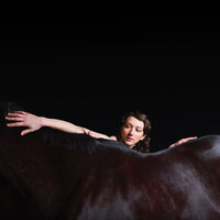 Workhorse - My Brightest Diamond
