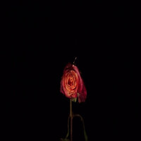 Void of All Emotion - Tvbuu