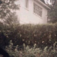 sulphur - killedmyself, OmenXIII