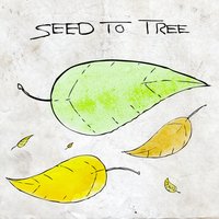 Broken Down - Seed To Tree