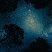 View from Above - Spa Relaxation, Asian Zen Spa Music Meditation, Spa Music Collective