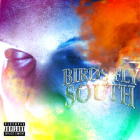 Birds Fly South - Nessly