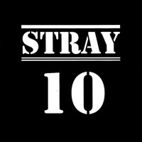 Home - Stray