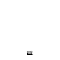It's Nothin Freestyle - Chris Travis