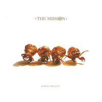 Hdshrinkerea - The Mission