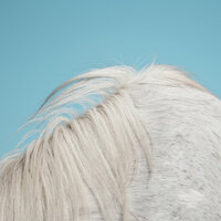 Borrowed World - Widowspeak