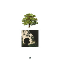 Oceans - TRAPO