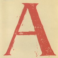 Bedding Down Post Xmas-time - Cass McCombs