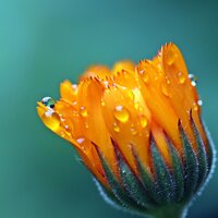 Relaxation in the Rain - REIKI, Healing Yoga Meditation Music Consort, The Sleep Helpers