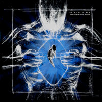 Bloom - Of Mice & Men