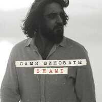 Сами виноваты - SHAMI
