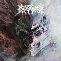 Impure Confrontation - Desecravity