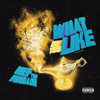 What Do You Like - Nef The Pharaoh