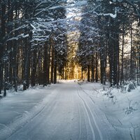 Eskimo Kisses - Traditional Christmas Carols Ensemble, Relaxing Piano Music Consort, Nature Sounds Nature Music
