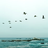 Melt Away - Nature Sound Series, Meditation Rain Sounds, Asian Zen Spa Music Meditation