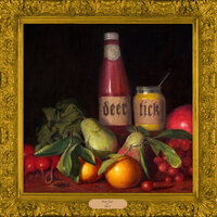 Mr. Nothing Gets Worse - Deer Tick