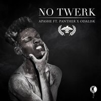 No Twerk - Apashe, PANTHER