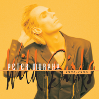 Dragnet Drag - Peter Murphy