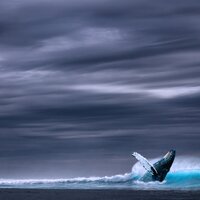 Cloud Fall - Serenity Spa Music Relaxation, Yoga Workout Music, Chilled Club del Mar