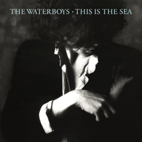 The Waves - The Waterboys