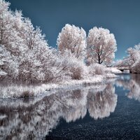 Time to Ski - Classical Study Music, Yoga Tribe, Christmas Carols Consort