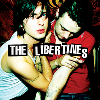 The Ha Ha Wall - The Libertines