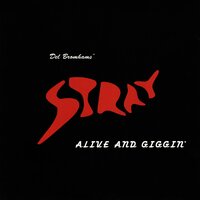 All In Your Mind - Stray