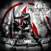 Feste fallen, wie sie fallen, aber landen tun sie hart - Frei.Wild