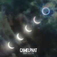 Spektrum feat. Ali Love - CamelPhat