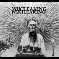 Wikileaking - Shape