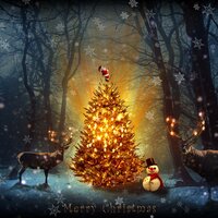 Picture Perfect Christmas - Lullabies, Classical Christmas Music