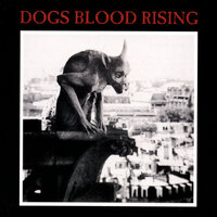Falling Back In Fields Of Rape - Current 93