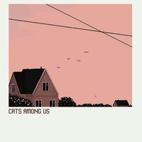 Вечное лето - cats among us