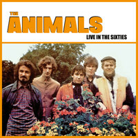 Tobacco Road - The Animals