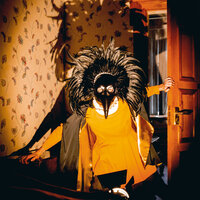 Avalanches - Drenge