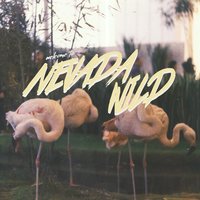 This Never Happened - Nevada Wild