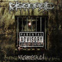 Sodomic Baptism - Disgorge