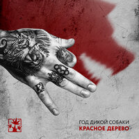 #МИШАВДЕЛЕ - Красное Дерево