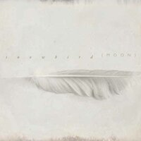 Porcelain - Snowbird