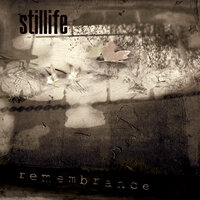 Fragile - Stillife