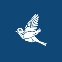 Bluebird - Canyon City