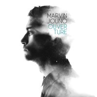 Dans l'étang - Marvin Jouno