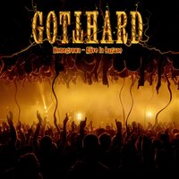 Gone Too Far - Gotthard