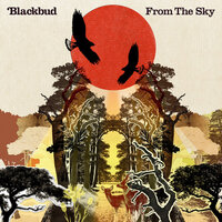 Barefoot Dancing - Blackbud
