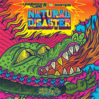 Natural Disaster - Laidback Luke, Example