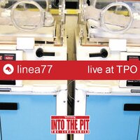 Cacao - Linea 77
