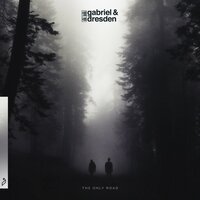 Over Oceans - Gabriel & Dresden, Josh Gabriel